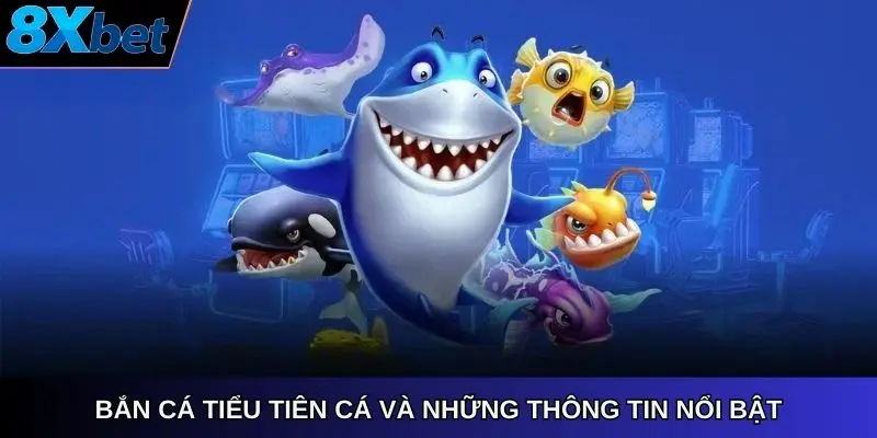 Bắn cá tiểu tiên cá 8xbet và những thông tin nổi bật