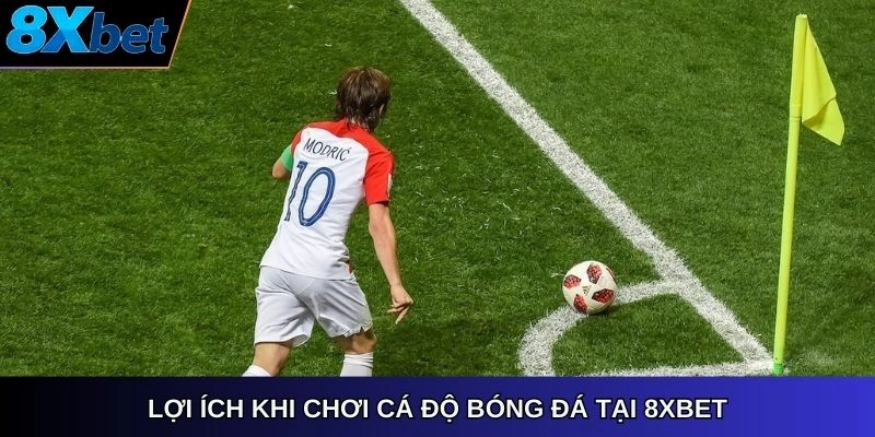 Lợi ích khi chơi cá độ bóng đá tại 8xbet
